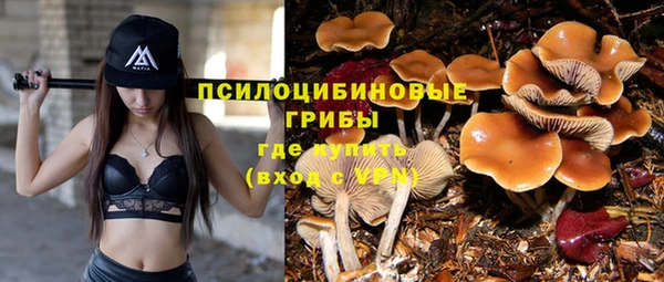 каннабис Алексин