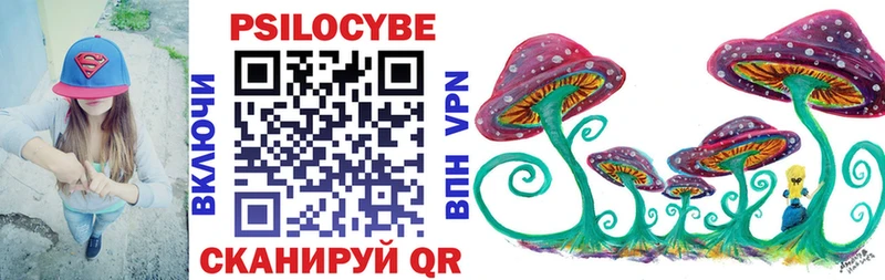 купить  цена  Жирновск  Галлюциногенные грибы прущие грибы 