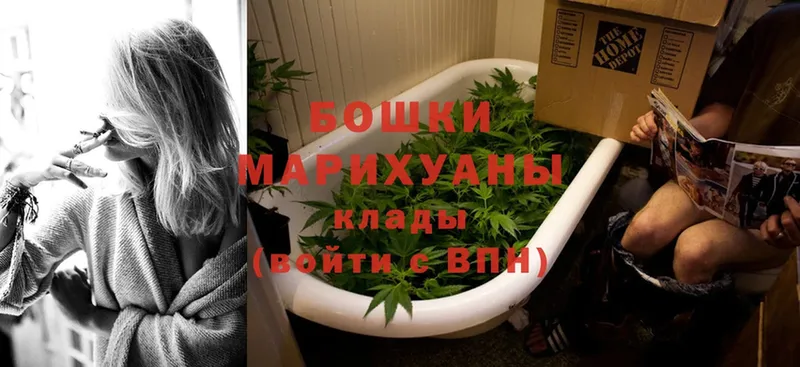 купить   Жирновск  Конопля White Widow 